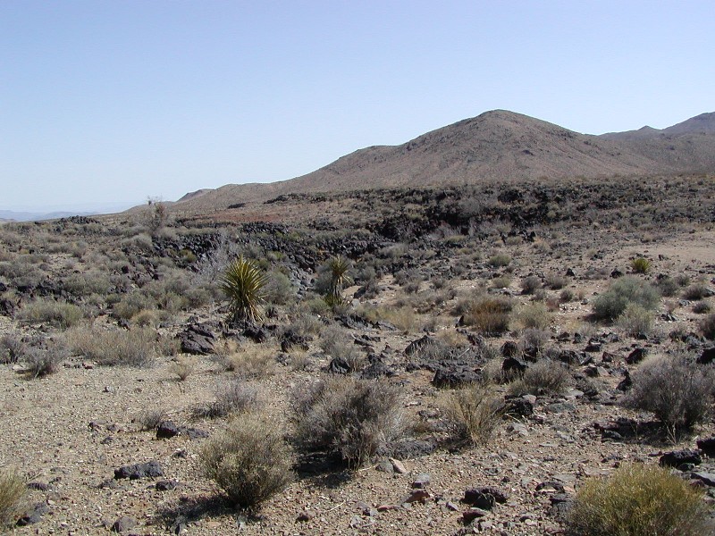 Rodman Mountains Petroglyphs, a digital photo tour.